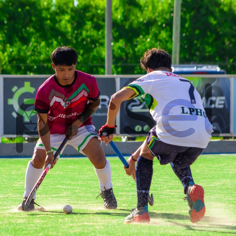 Photo of y5wsk7r1xg6tec5v9u9c4msk