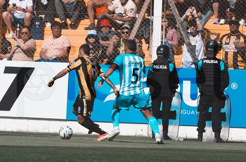 Photo of bhkg9dvti5nu3f5zrvw5i02c