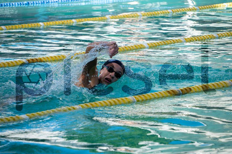 Photo of rhql294na19dtm2qbpry701s