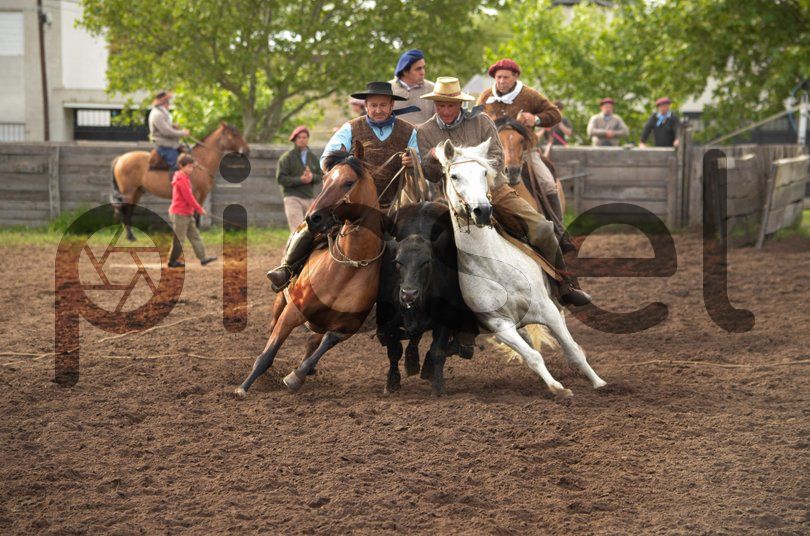 Photo of h6y8sxlqifrhc3xc1645at9q