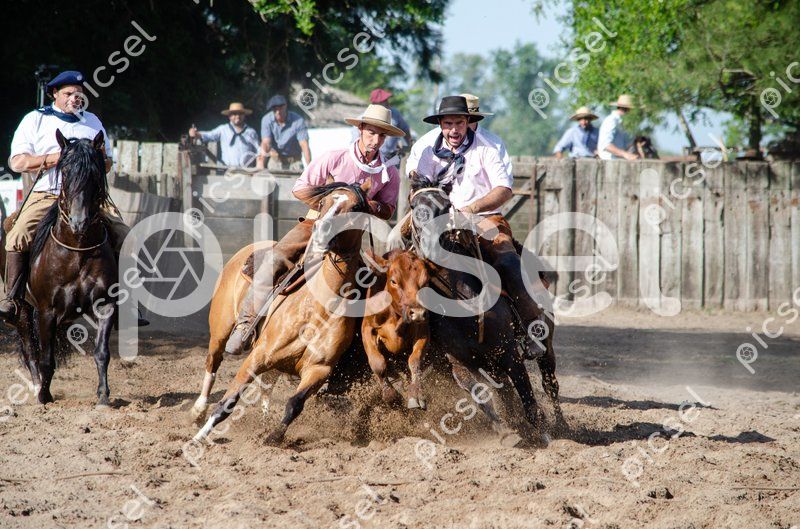 Photo of q3oleegzjm1qwlz5kjo4u78a