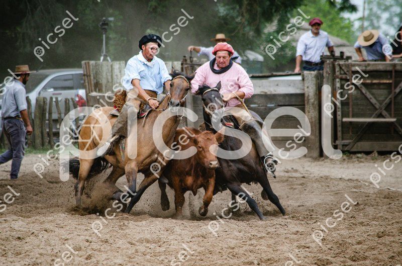 Photo of upgpjhhb5j1dsy5zbk9fknt3