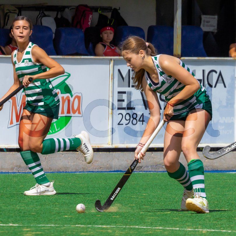 Photo of alqumvidurrmv39f0tdqz99c