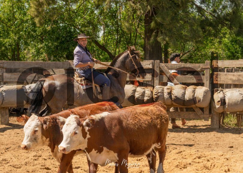 Photo of g5a4z91ca5ia725fltmoaj67