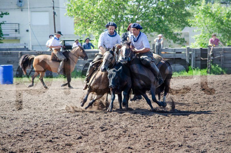 Photo of uykteehz1md9k5yu0fc1t87a