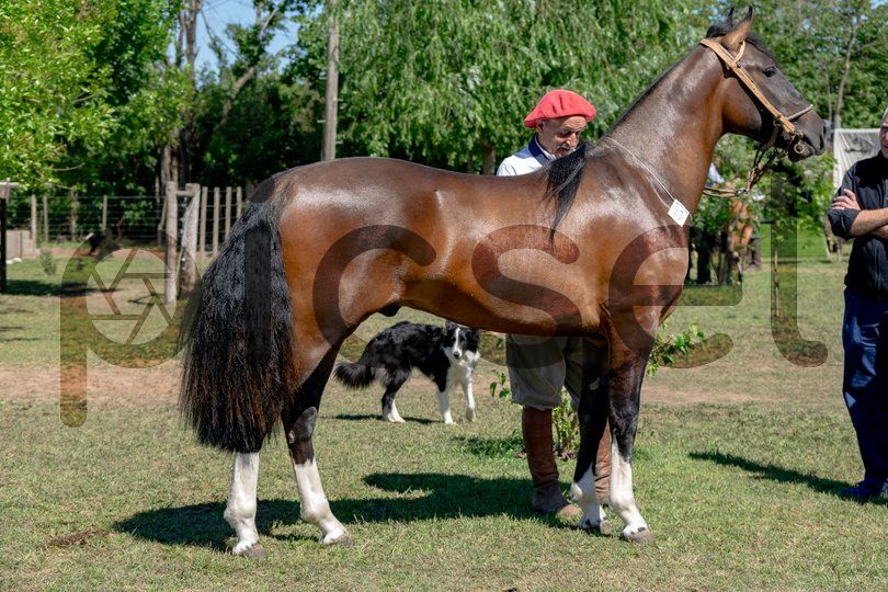 Photo of i7trh5ohfg8ruwawrw2mnvin