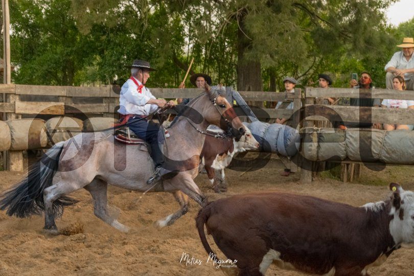 Photo of bn64oex1zm7fdyk372e66ib8