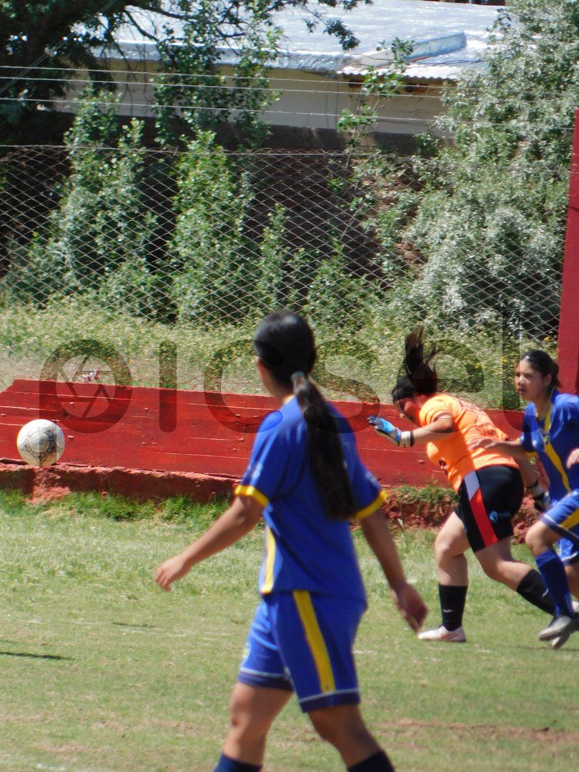 Photo of z0hej5bkq933tikmu9i3rf9w