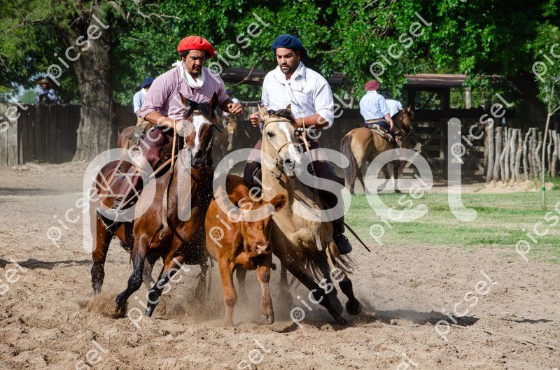 Photo of kyr9ou5fxegn1t1uon5bbs5a