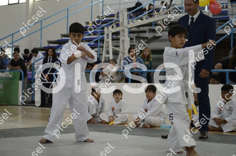 Photo of irharzx1s87xi7mjmfc5i2g5