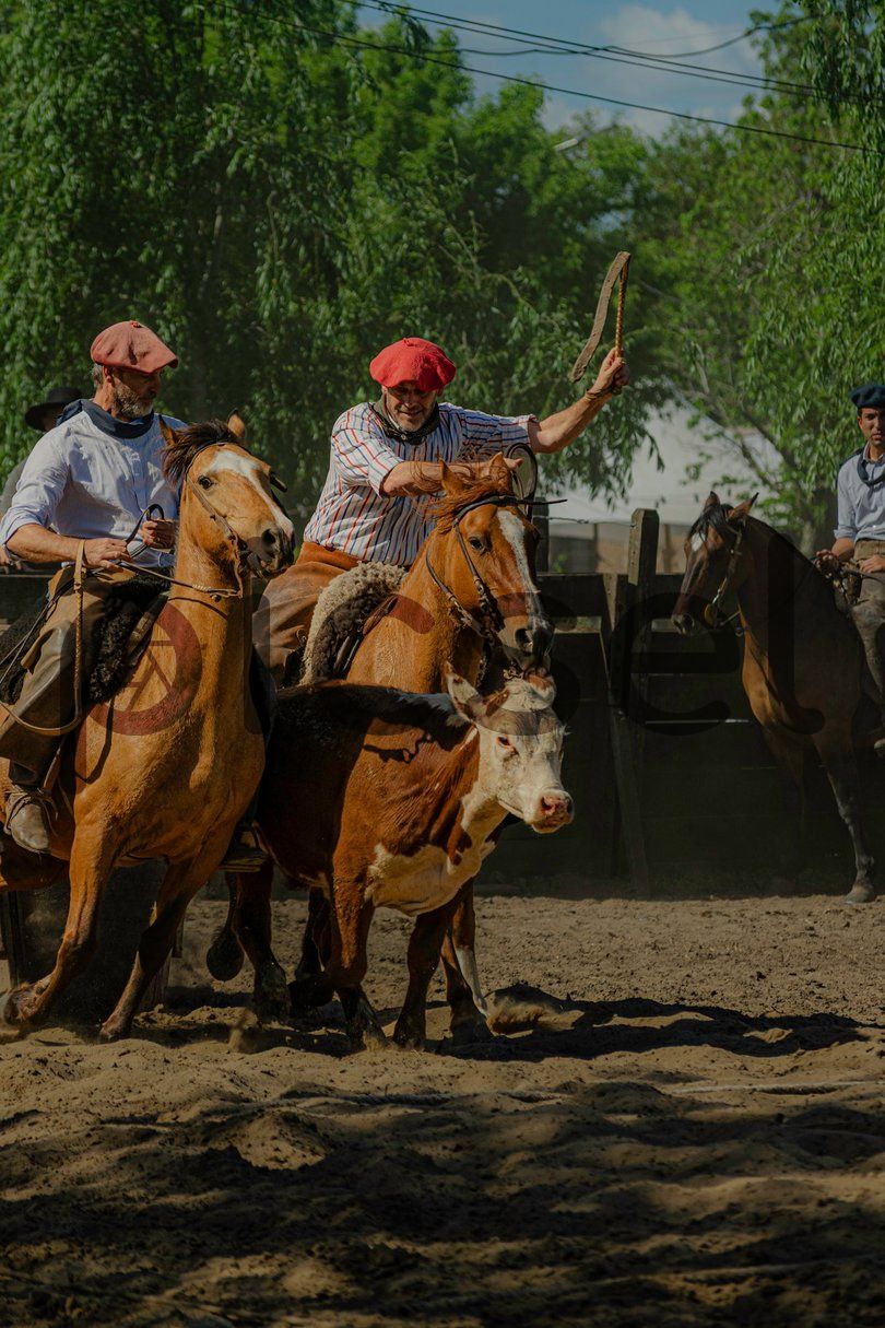 Photo of w9ukgj2ctoai8auji5z7lpst