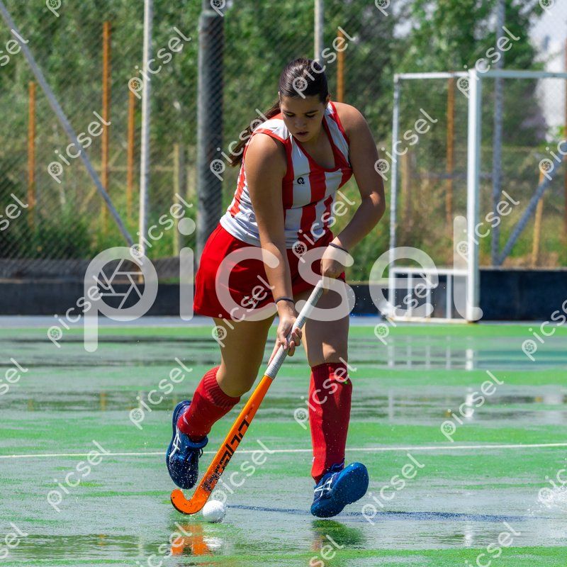 Photo of sapprlt9iprvvsxmg1kklcms