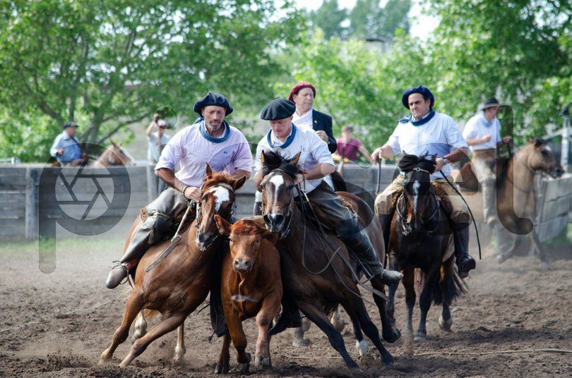 Photo of w7gqb7w65u7fp4a2ufd60w7q