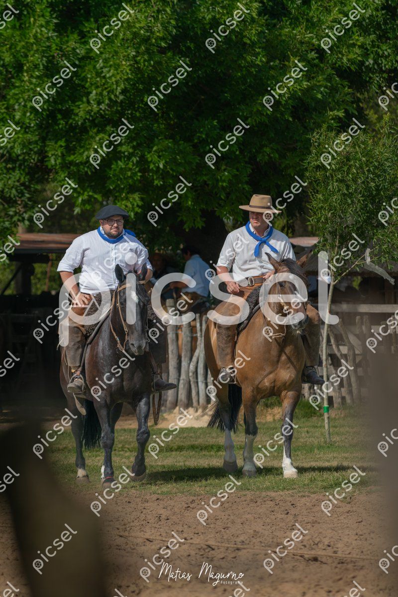 Photo of ko9nqq9jd2pcmdotohcsamt6