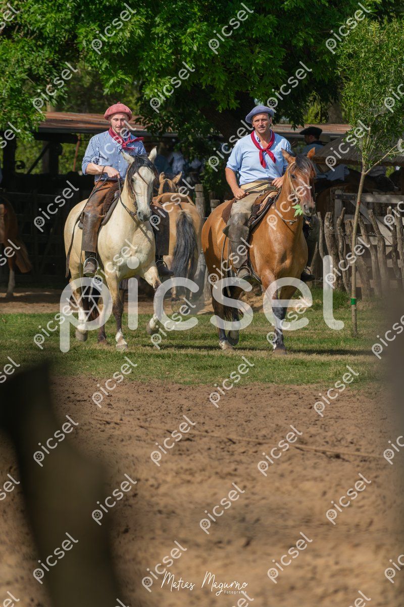 Photo of gzqxrd0ya9vwo4hcqu9s0jnp