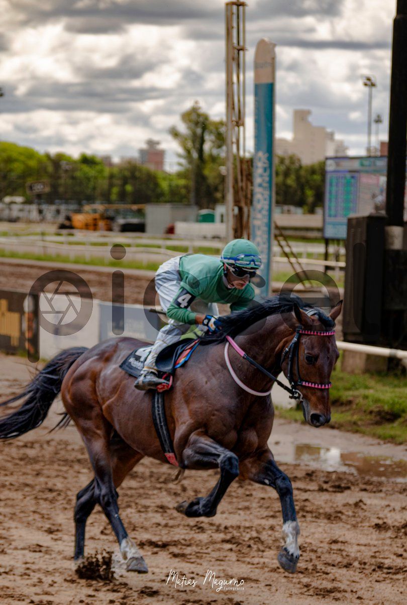 Photo of a0rfp0ru0krbz1ute9z9bq1m