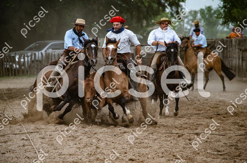 Photo of udxxbcgrnkkkm3rz0u2z6ghn