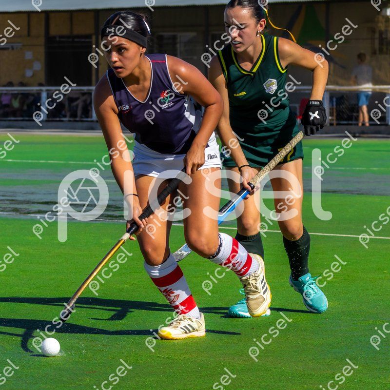 Photo of v1mzga0n5rku88eatflawibh