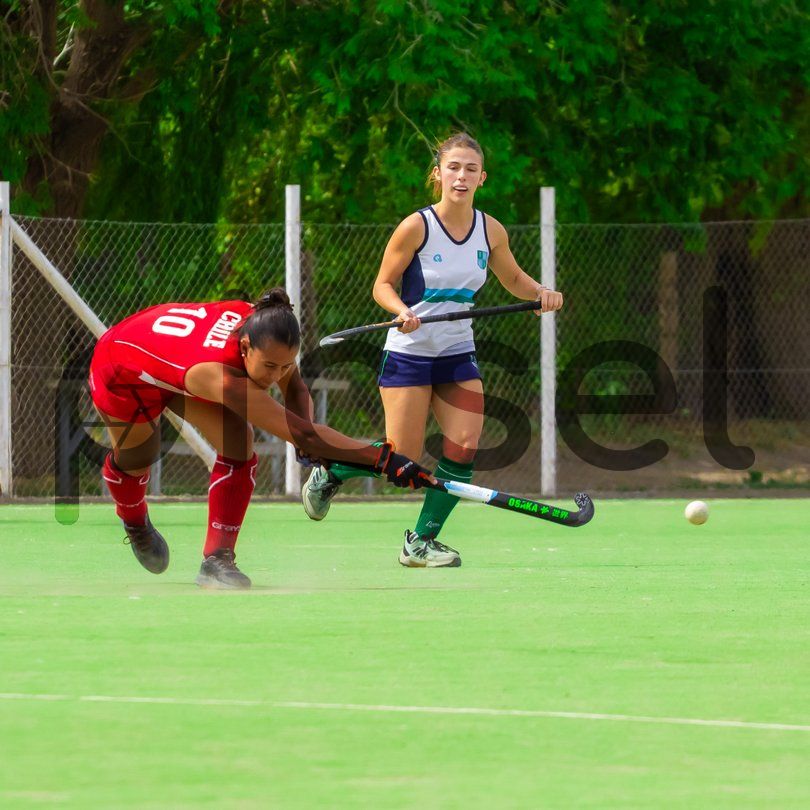 Photo of v545hnh4p3houtiem9b3ndd1