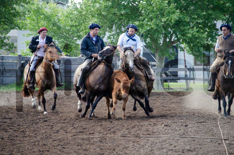 Photo of ov1pnq1szssn3fzt4rmj6p63