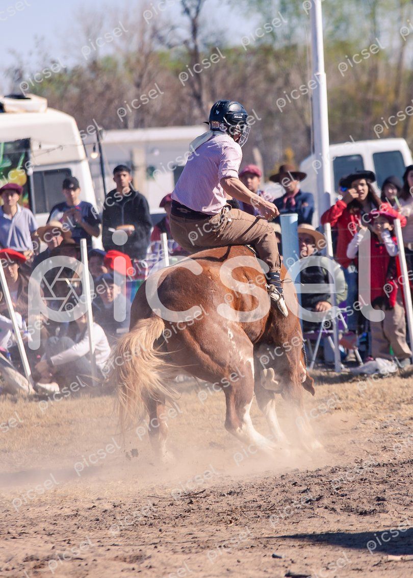 Photo of xskmv8uzpd9izf82xuarlry6