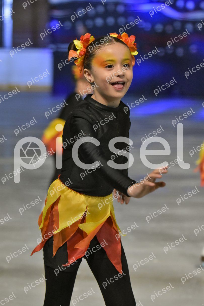 Photo of s6v4j02o12vmez1d5icv5g85