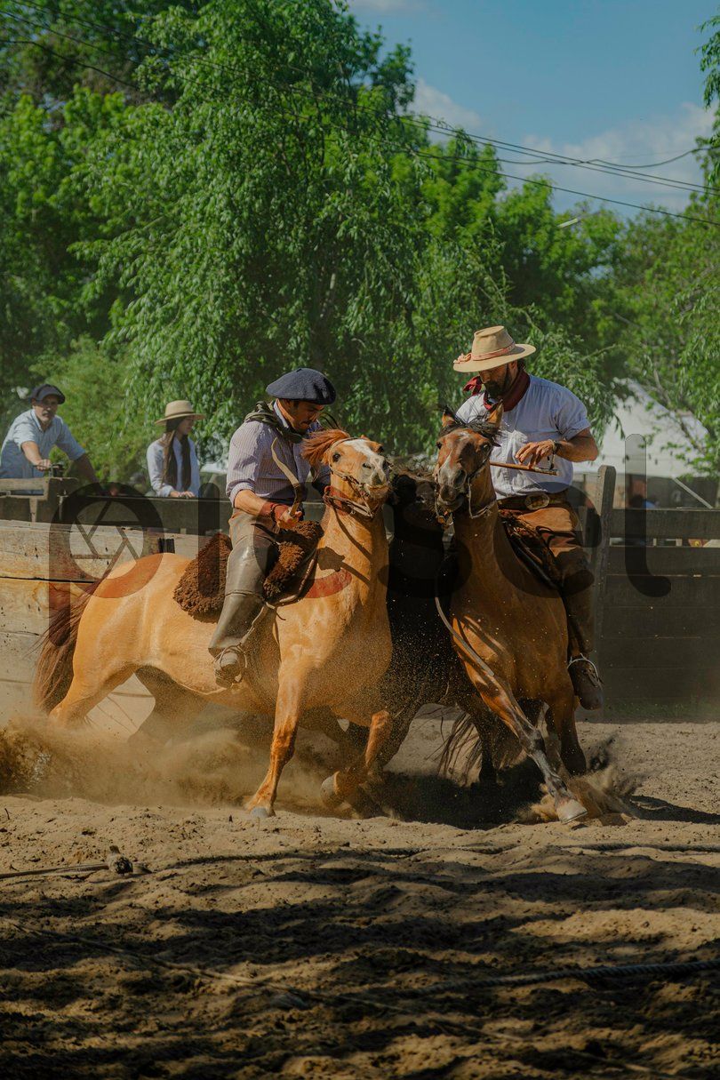 Photo of a0kego6v6goq6w0b1z0if0u8