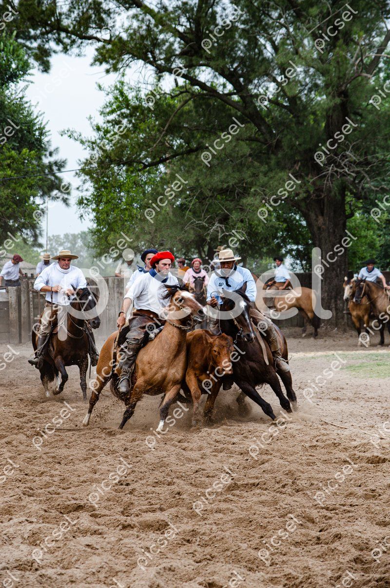 Photo of a18i7ka64c472n6g62uqispd