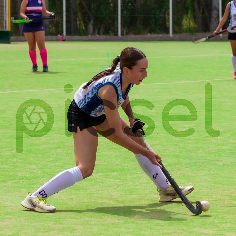 Photo of v81m6maro9xgcscdwxcztb8n