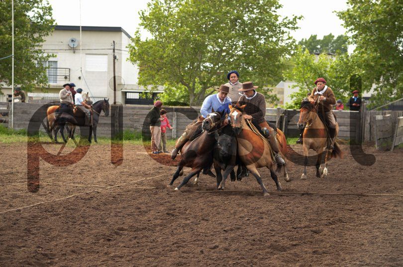 Photo of hxwkdahv7vegorx6subq8cih