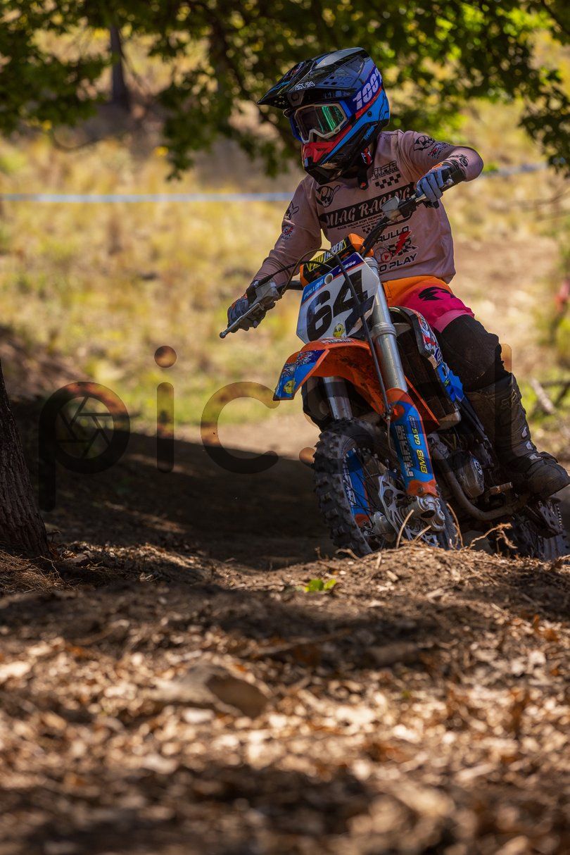 Photo of witt5wudvjb84ajhvr6o0feo