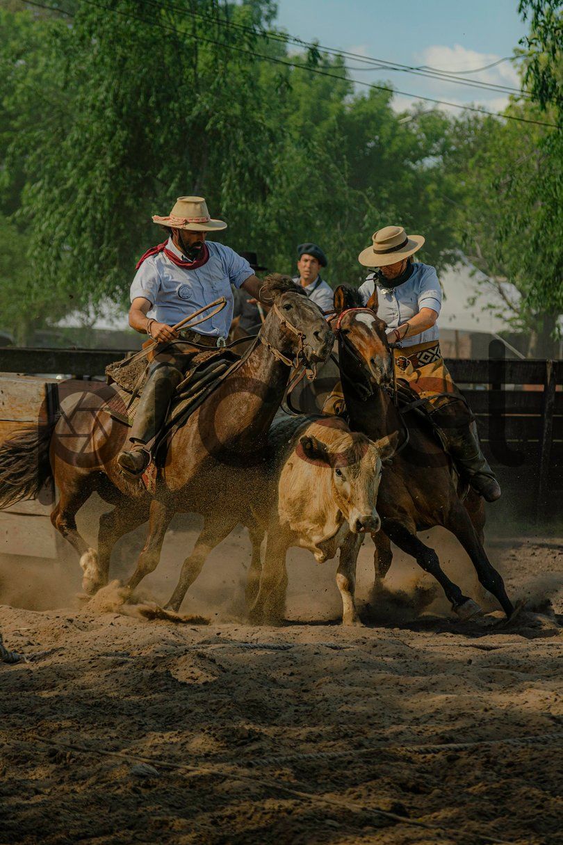 Photo of fb1fgvov7sc987ikd44dalog