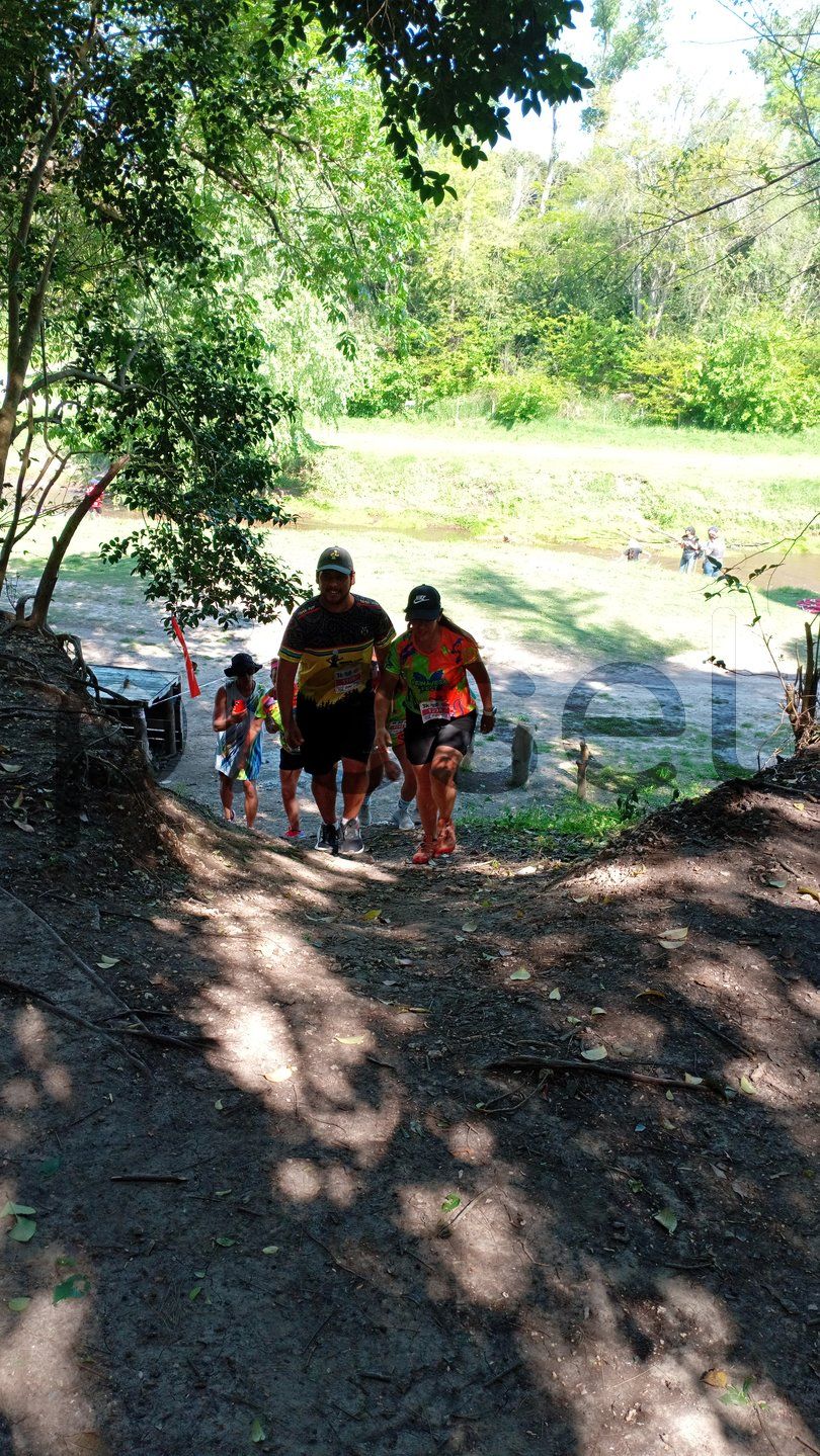 Photo of v17b872ufa6lflps4o4gnyz7