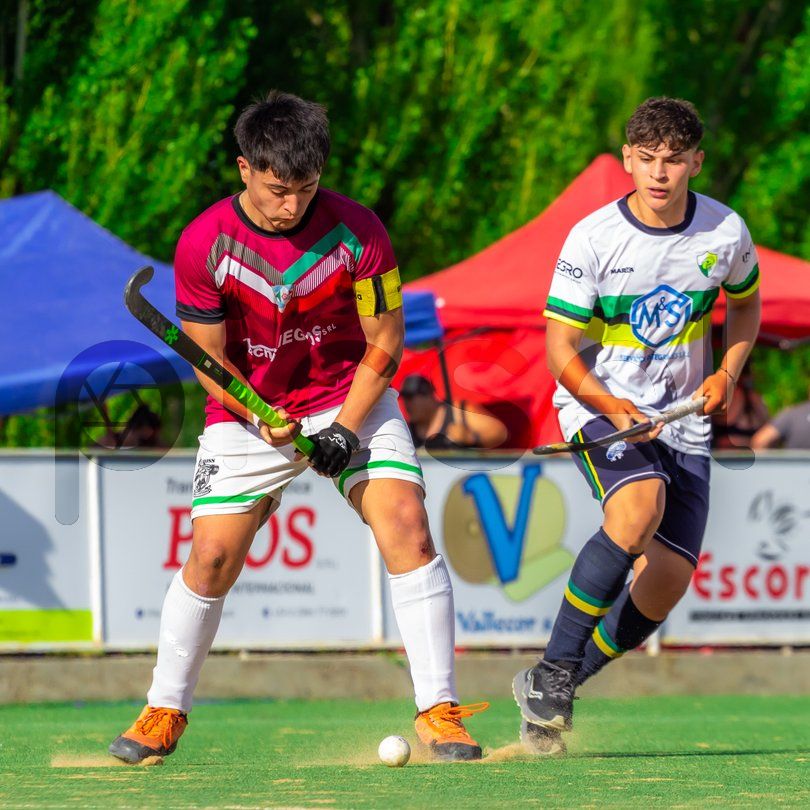 Photo of fczn2gf4vrt7ffysotf826i1