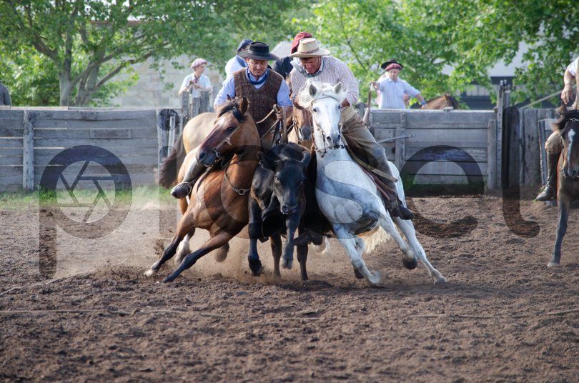 Photo of f4rfba5370hf2x7zcjs9qqsr