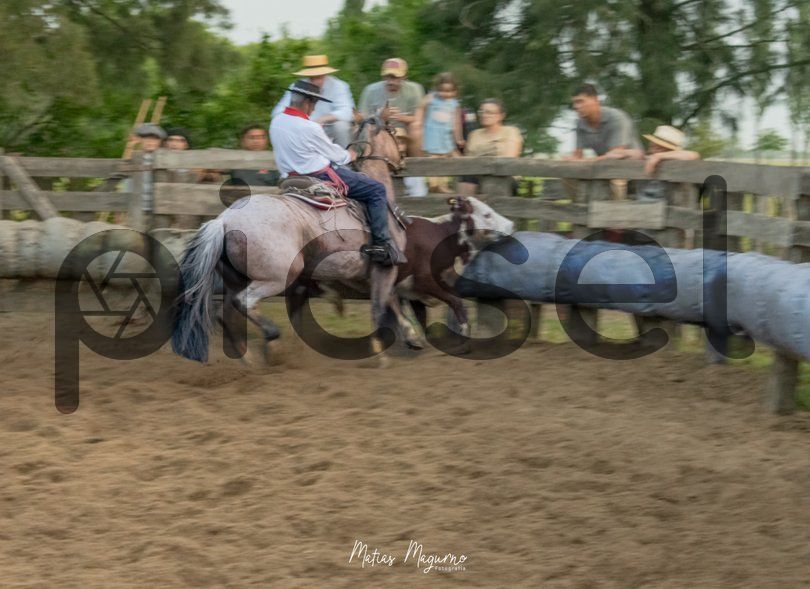 Photo of kyhnnd8rtymzp8xshu3b0qv3