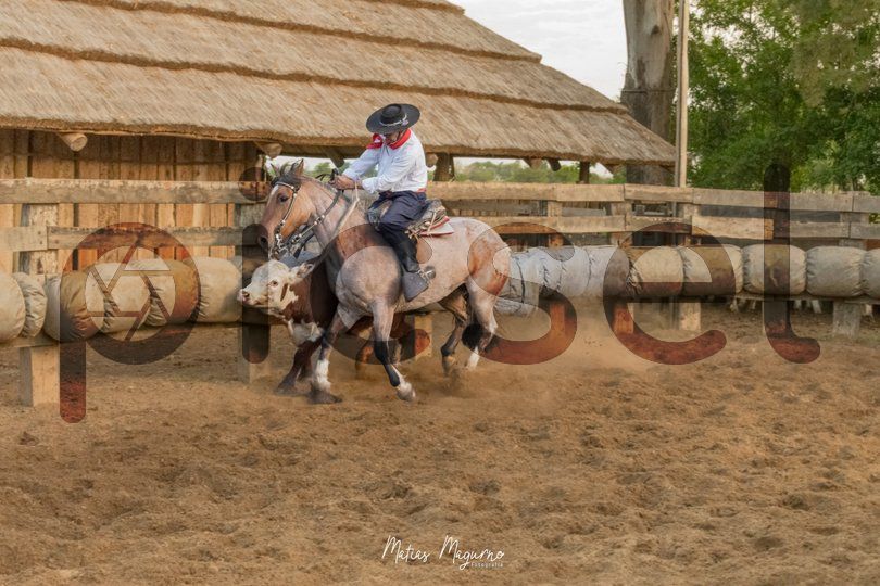 Photo of ciij1nby5m6vq7m6ta5l5gmh