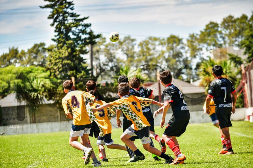 Photo of t4p59u7e5fifyybxwiuo0lqn