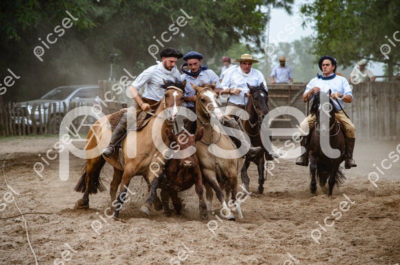 Photo of cdlmpryjtxwvglhe4t77ete2