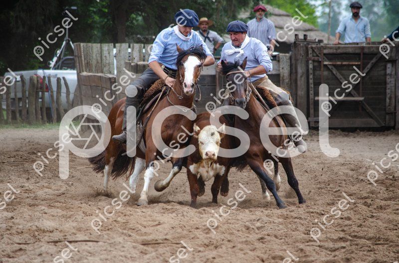 Photo of xtyaehcgo20hlptxan6nt848