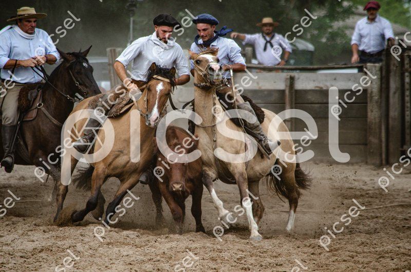 Photo of ba4z2m59hjtzph4ed9bhr6e9