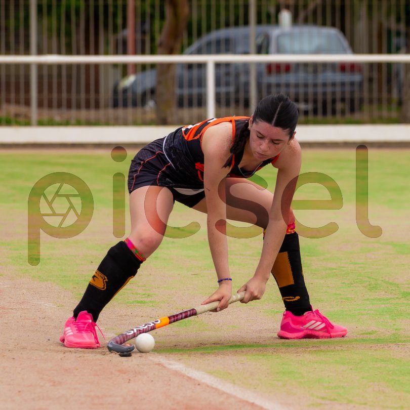 Photo of jq48vecuhy6fce8i8aiddibj