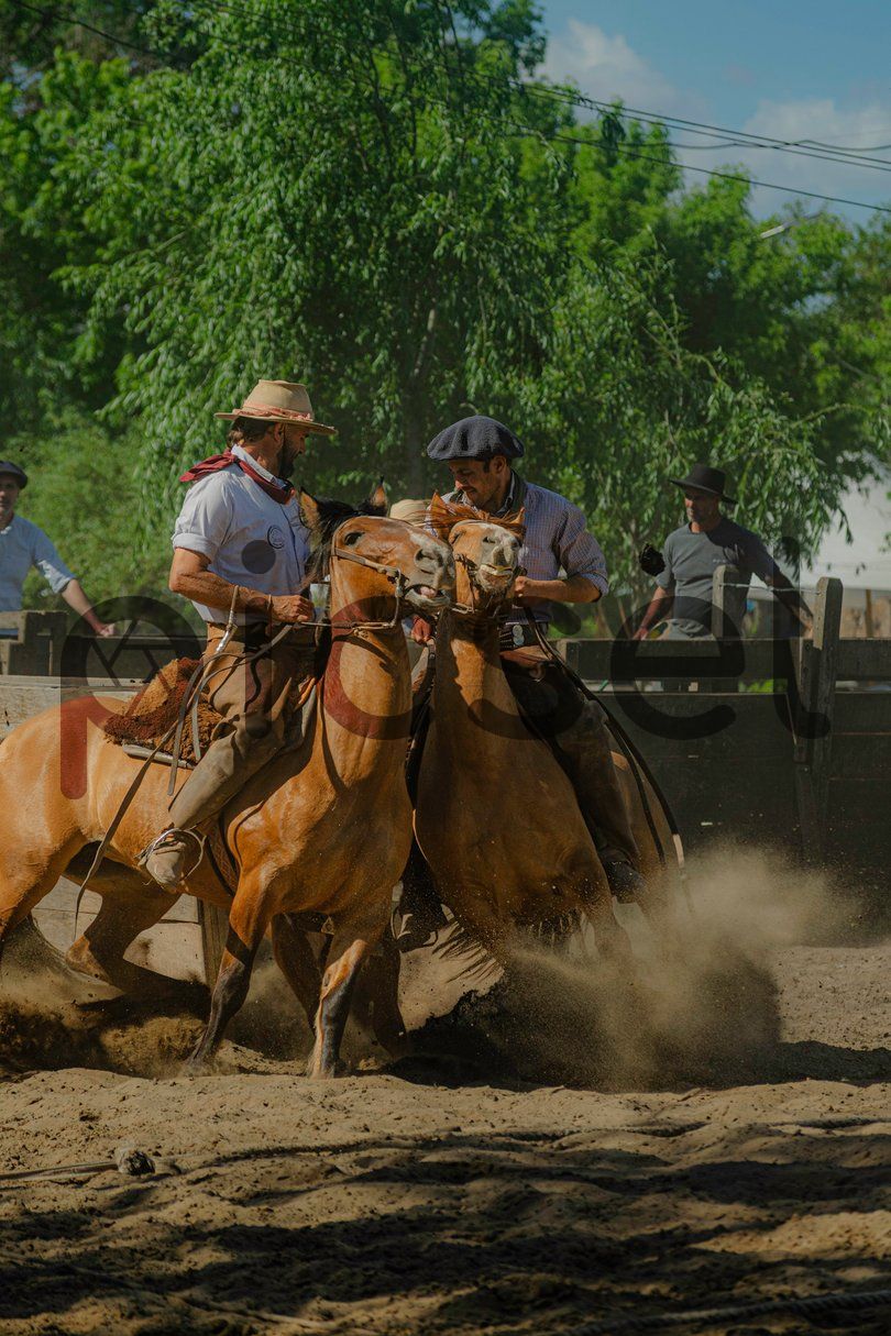 Photo of f5z43uzu9xss3nfr89mvajq4