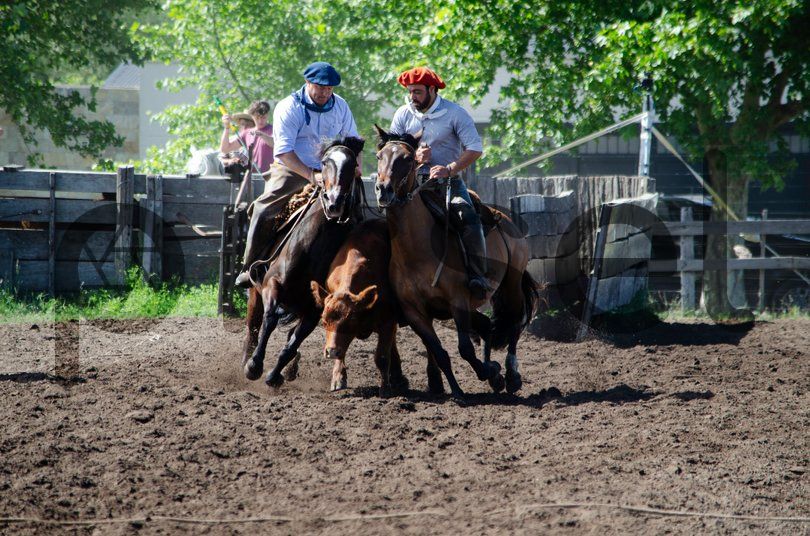 Photo of w1qkw84fzbxi2klv0u0cylnm