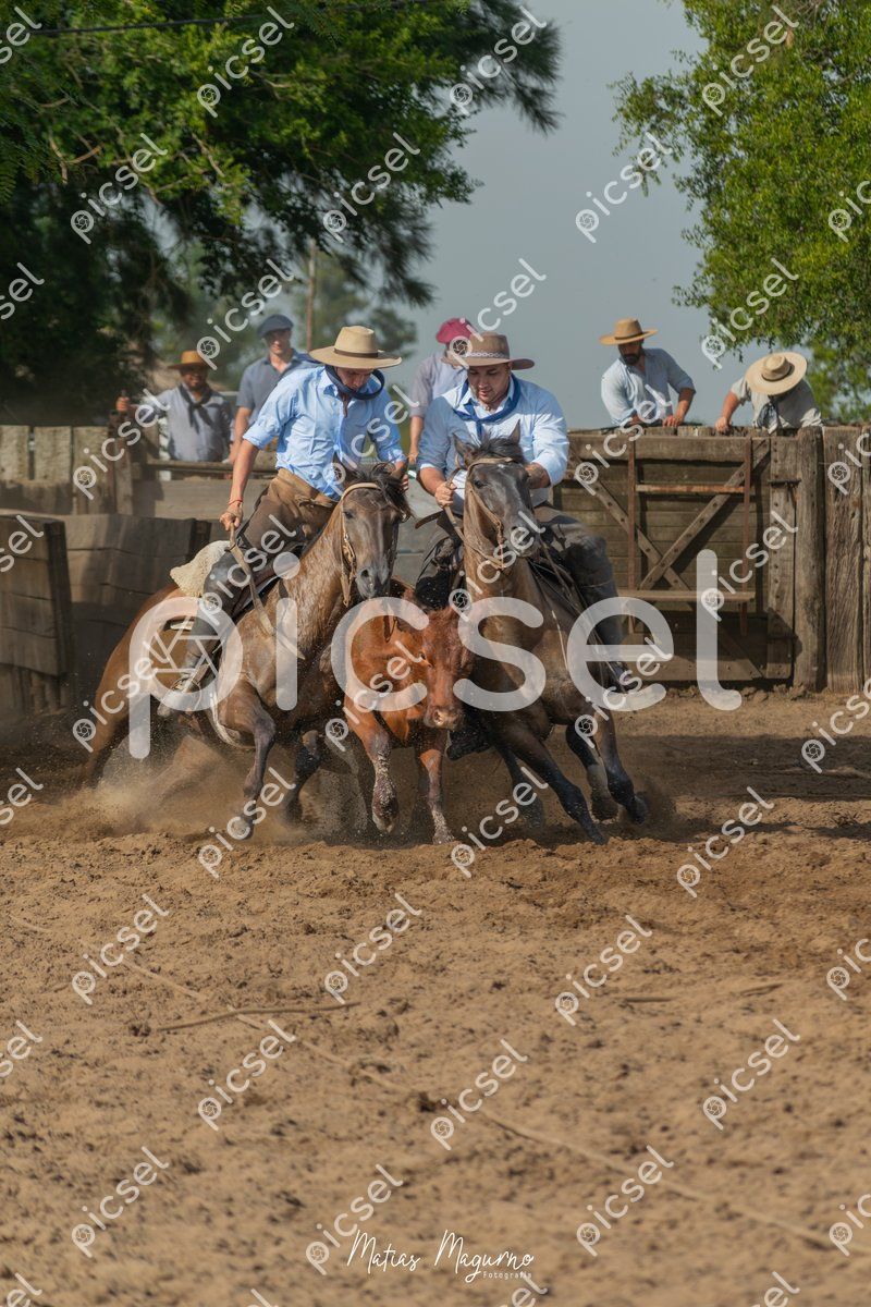 Photo of vbarz0x7p3un2qn8ehkbfkzd