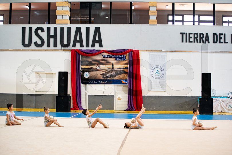 Photo of xnz81a68au7n6rj062w9xls0