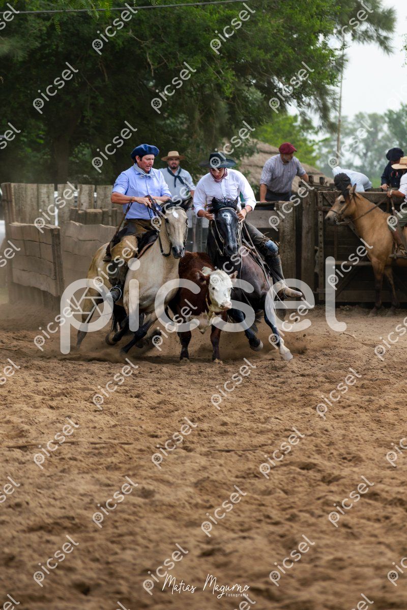 Photo of apspl1chp0maiuvpu6bsiuwi