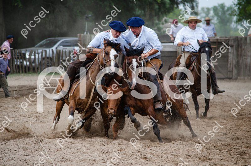 Photo of wtxnhlaesw6oj9g1ss7779g8