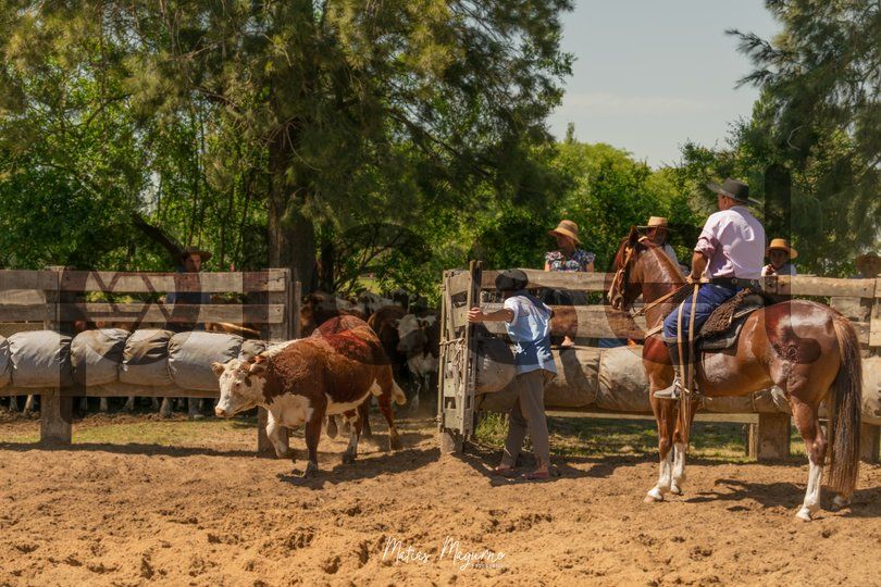 Photo of m6f33yl5wyiz9ddx5mdqllxw