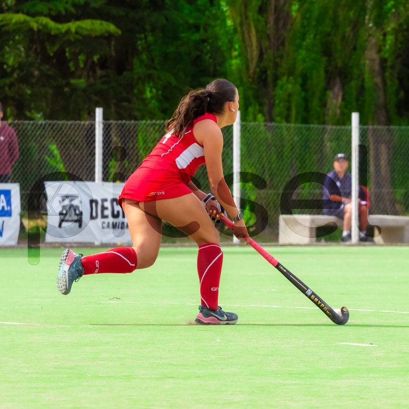 Photo of a4lq6d9hqfibdpmhhlw3pv7i